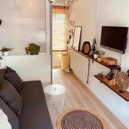 Shack Studio Zandvoort